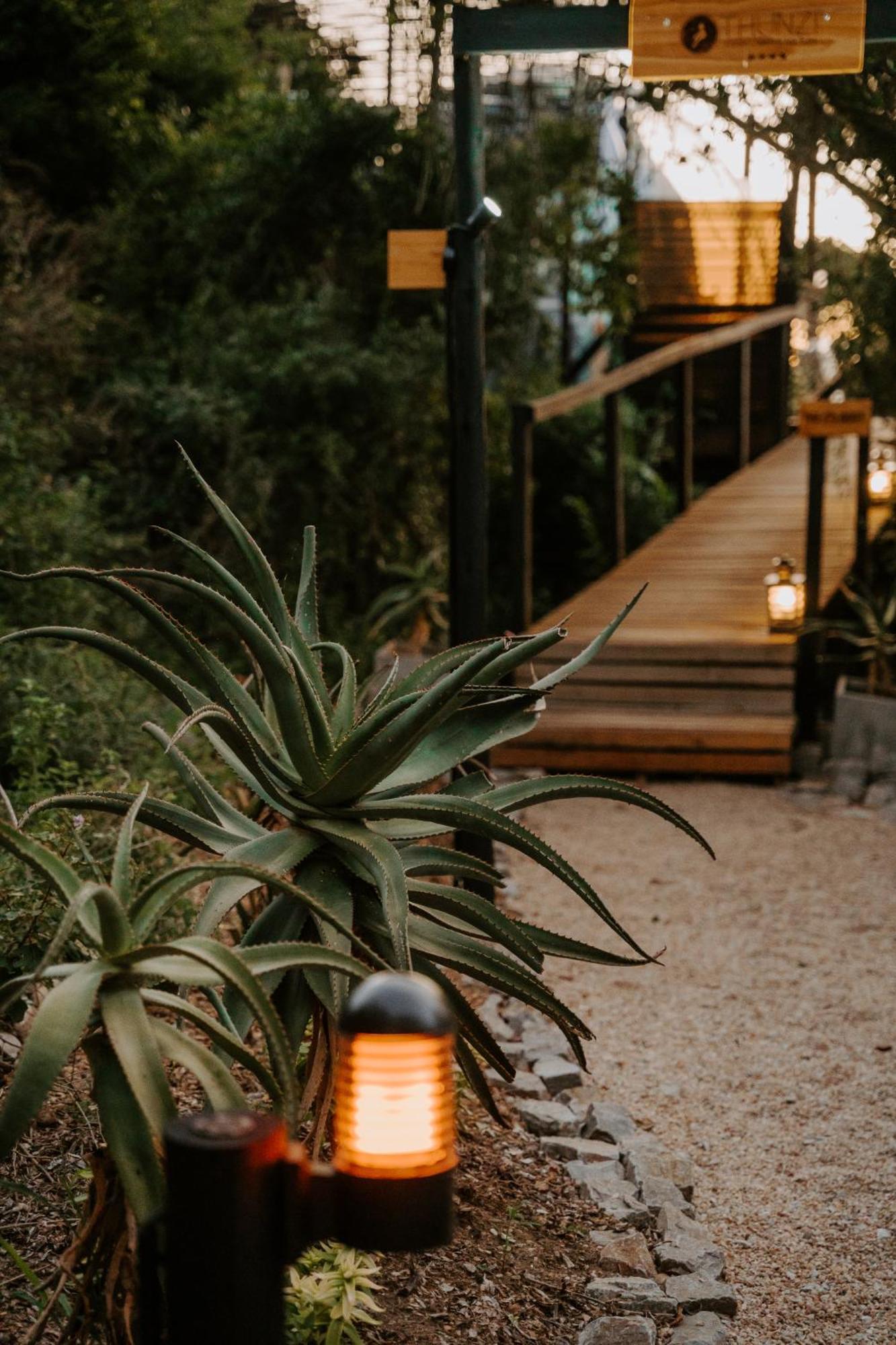 Thunzi Bush Lodge Beachview Kültér fotó