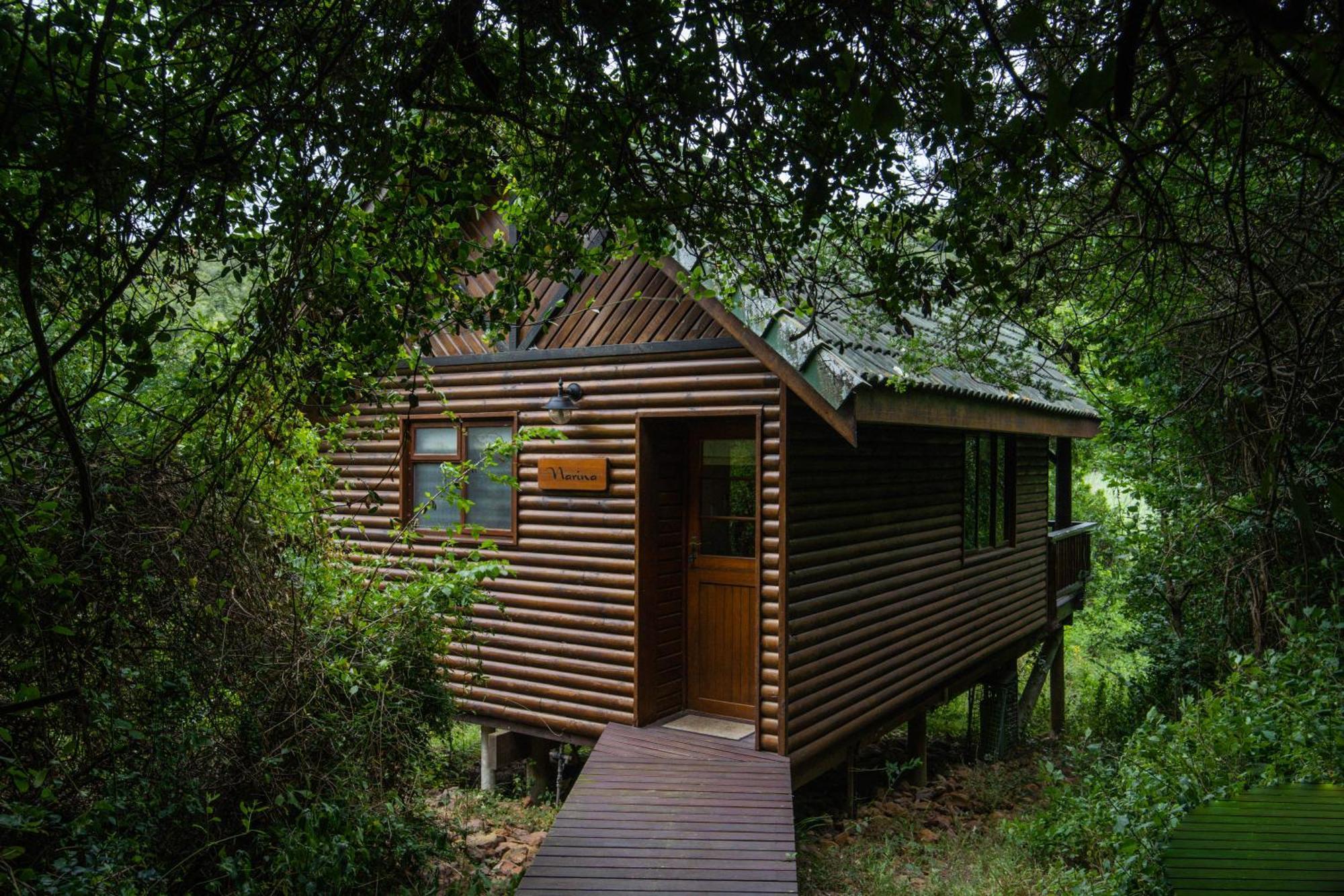 Thunzi Bush Lodge Beachview Kültér fotó